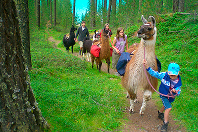 Familienwanderung mit Lamas