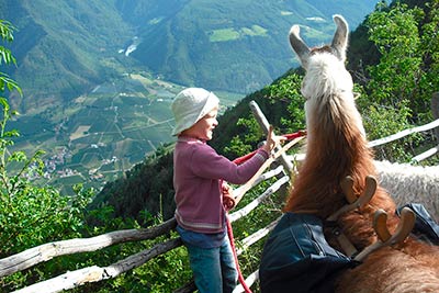 Kinder und Lamas