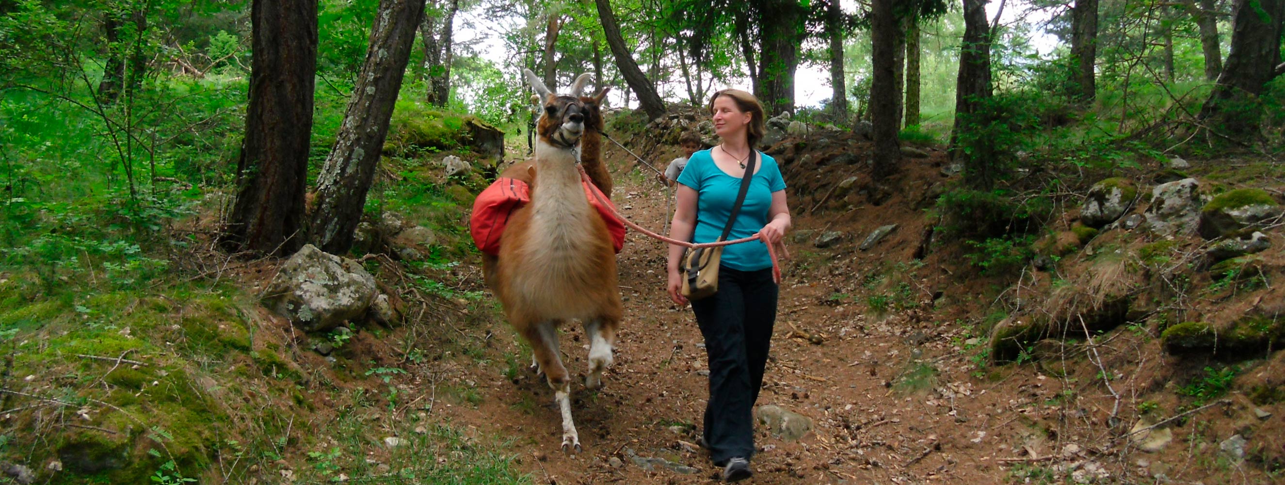 Lamas am Innerunterstellhof